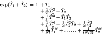 \begin{displaymath}\arraycolsep0.5ex
\begin{array}{ccll}
\exp(\hat T_1 + \hat T_...
...dots
+ {\textstyle{1\over (N/2)!}} \hat T_2^N \\
\end{array}\end{displaymath}