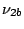 $\nu_{2b}$